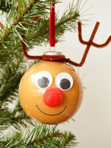 close up of painted reindeer christmas ornament with pipe cleaner antlers and pom pom nose hanging in treeclose up of painted reindeer christmas ornament with pipe cleaner antlers and pom pom nose hanging in tree