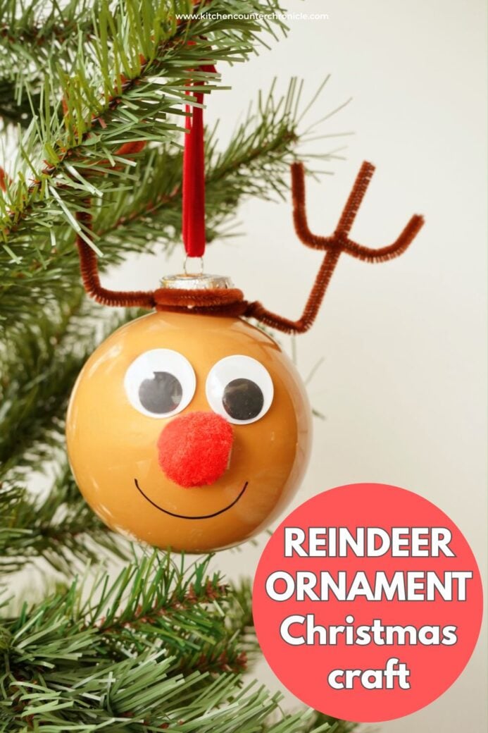 title how to make a reindeer ornament with painted rudolph ornament hanging in tree
