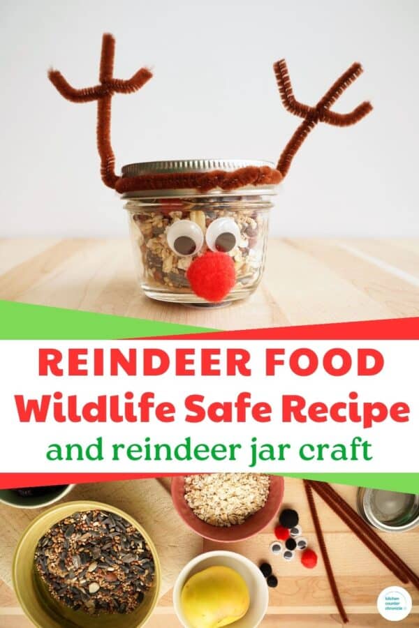Reindeer Food Recipe Safe for Birds and Wildlife