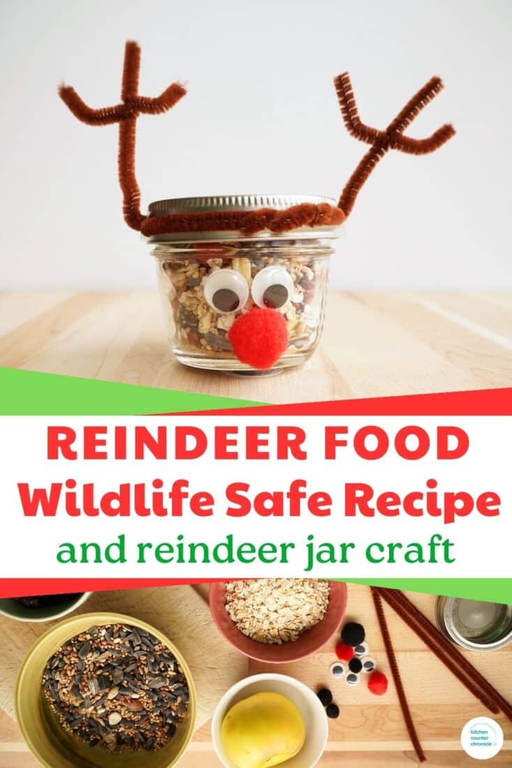reindeer food safe for birds recipe and reindeer mason jar craft pin