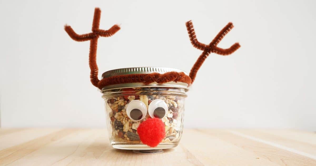 reindeer mason jar filled with reindeer food safe for birds and wildlife social image