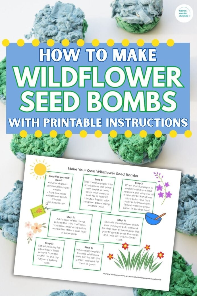 printable instructions for how to make seed bombs new pin image