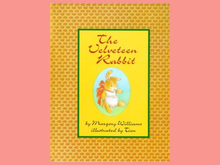 the velveteen rabbit book cover