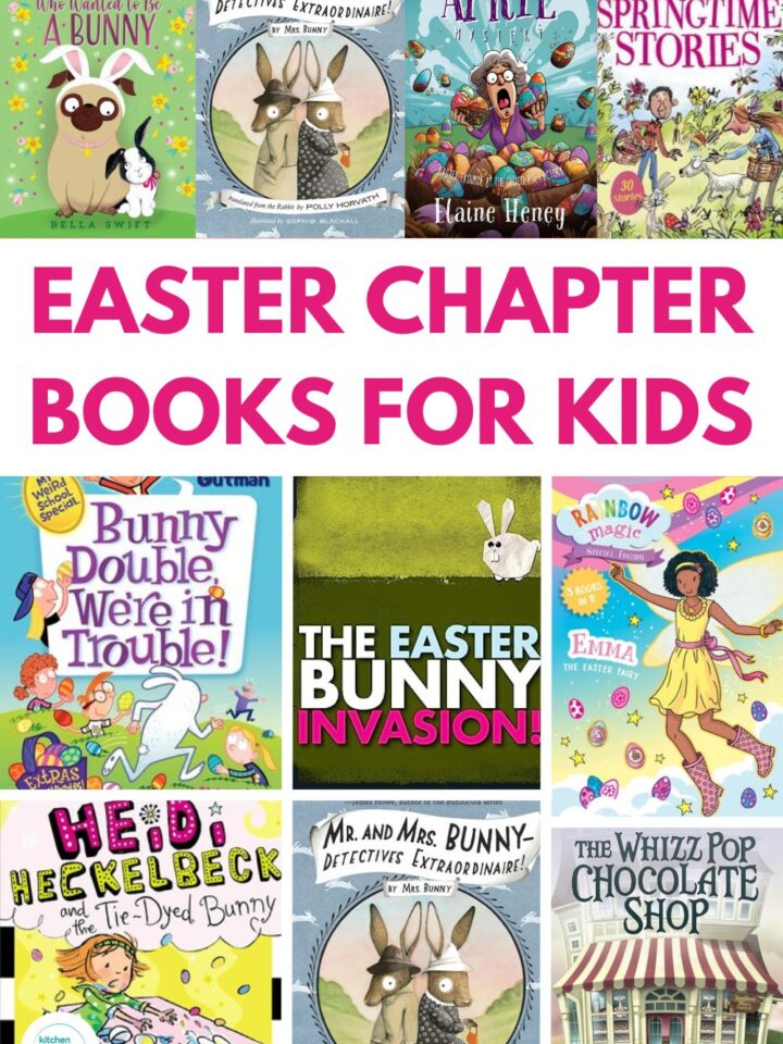 20+ Mystery Chapter Books for Kids to Read