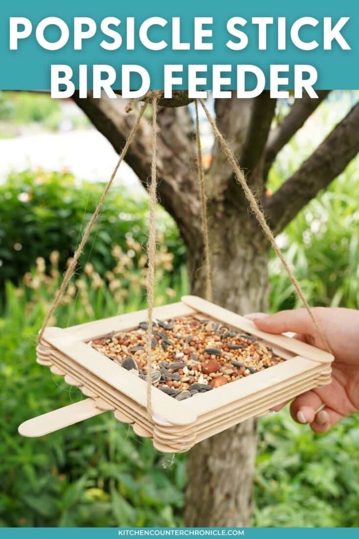 Learn how to make a diy hanging bird feeder with craft sticks (popsicle sticks). A creative bird feeder craft for kids of all ages. Full design instructions so you can build your own hanging bird feeder for your backyard. #diybirdfeeder #birdfeedercraft #craftstickcraft