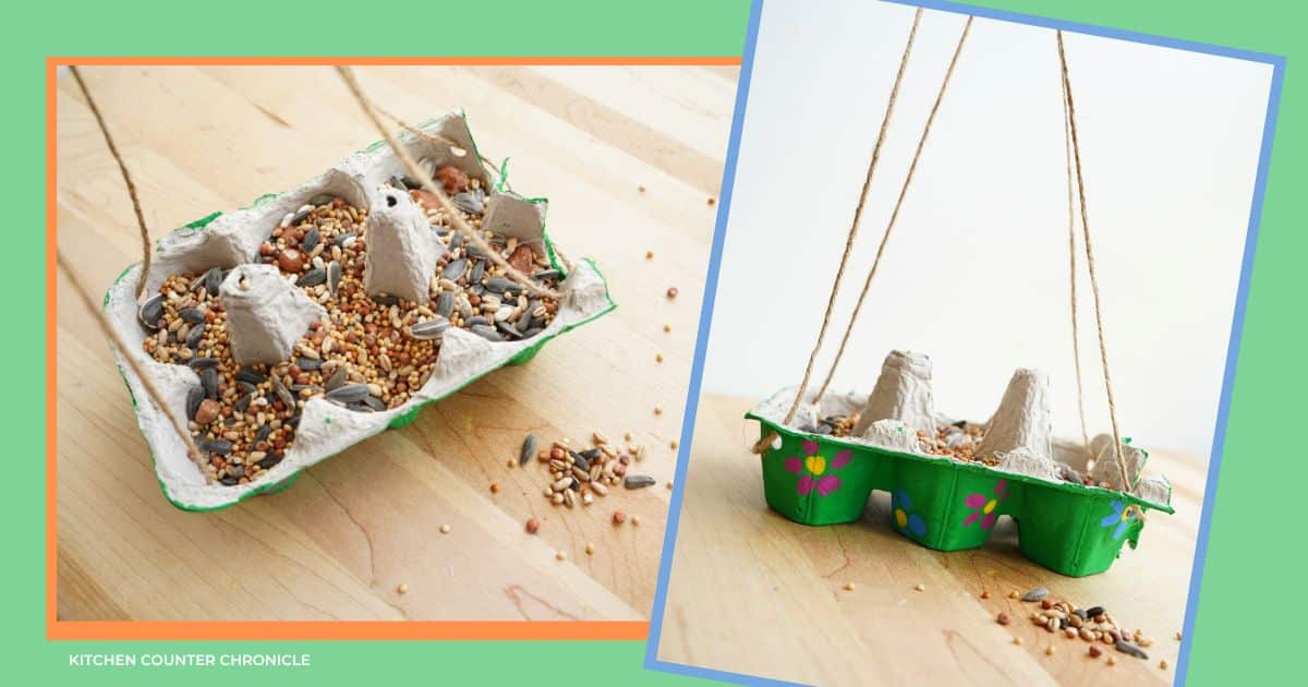 diy egg carton bird feeder filled with birdseed from above and hanging