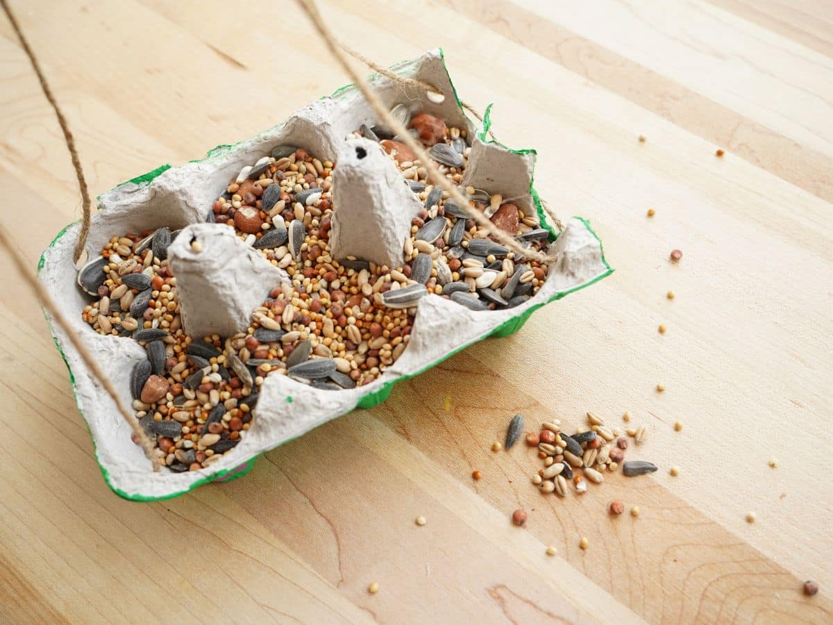 cardboard egg carton hanging bird feeder on table filled with birdseed