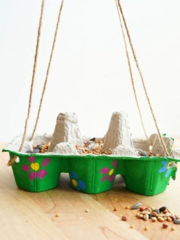 close up of egg carton hanging bird feeder filled with birdseed