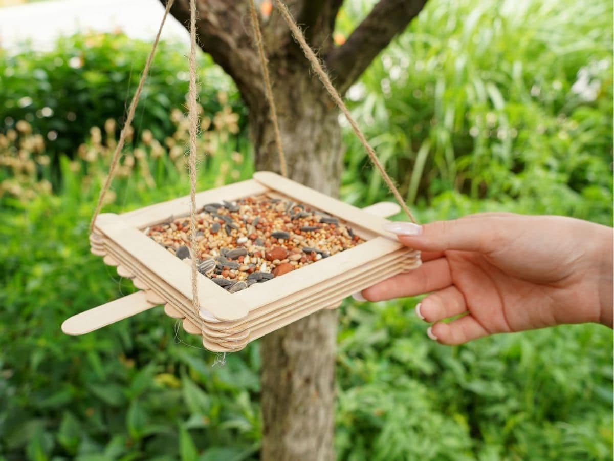 craft stick hanging bird feeder hanging in tree with girl's hand