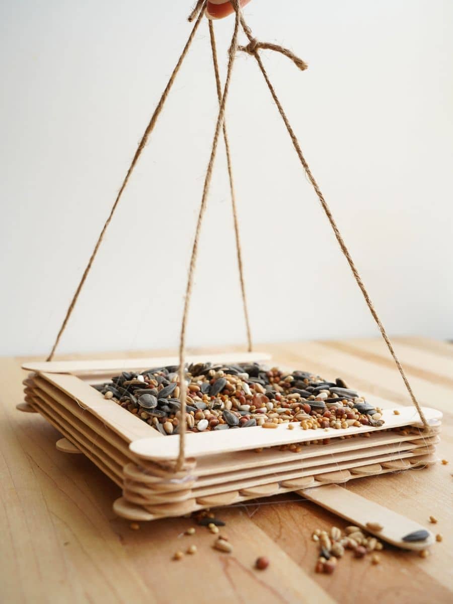 diy hanging popsicle stick bird feeder filled with birdseed and held in person's hand