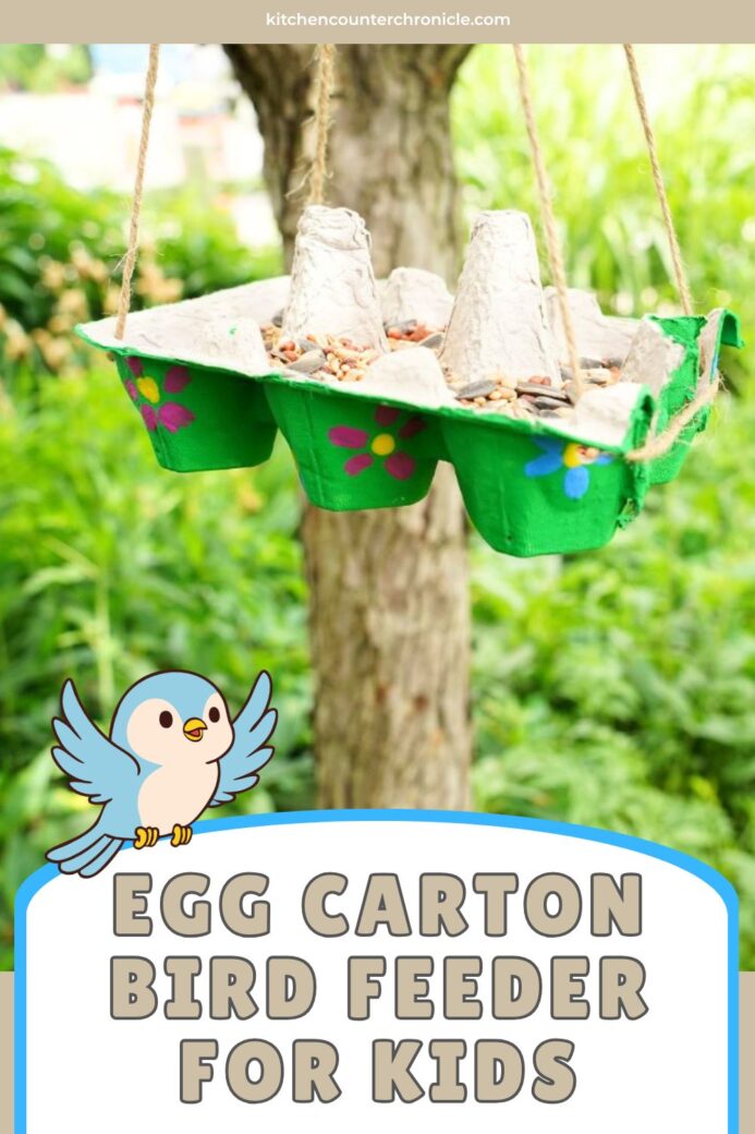 egg carton bird feeder for kids new pin