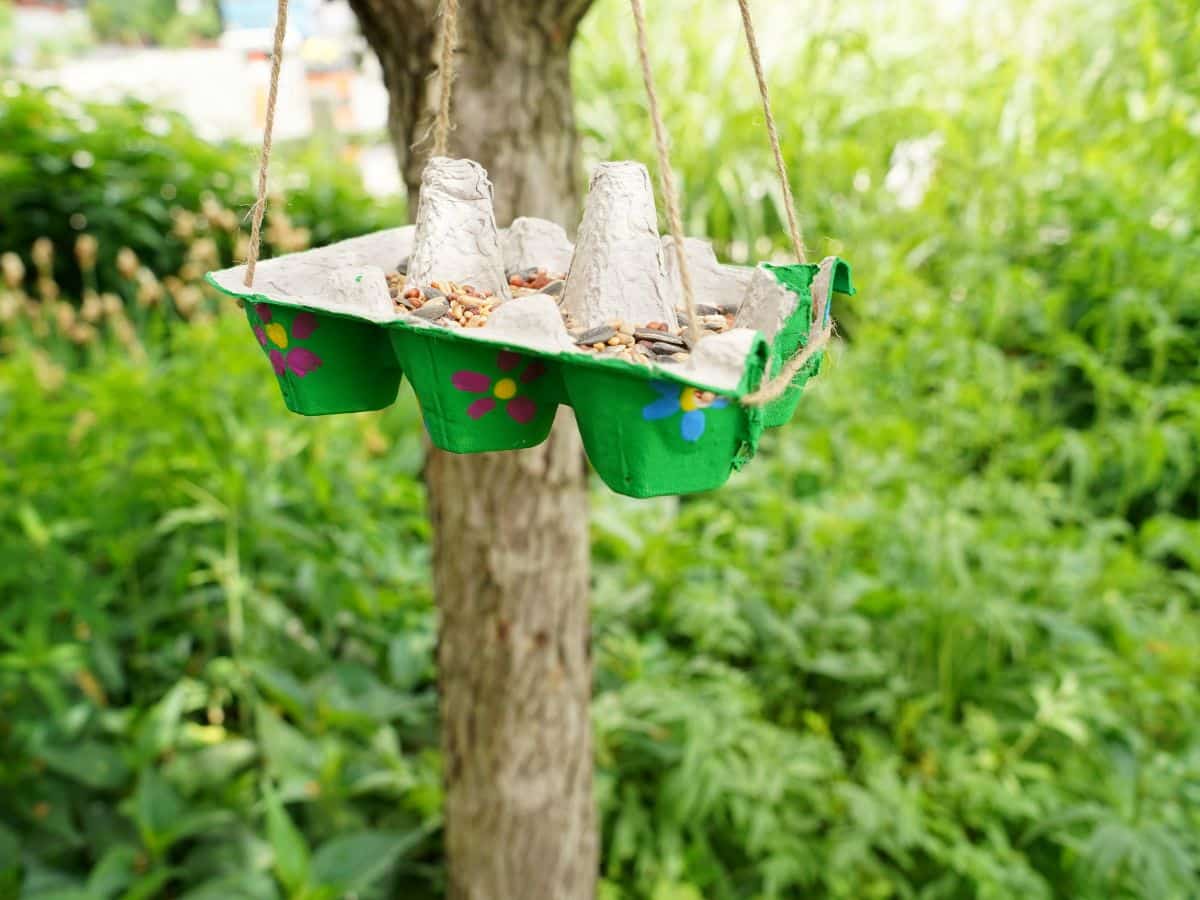 egg carton bird feeder hanging in a tree with a garden in the background