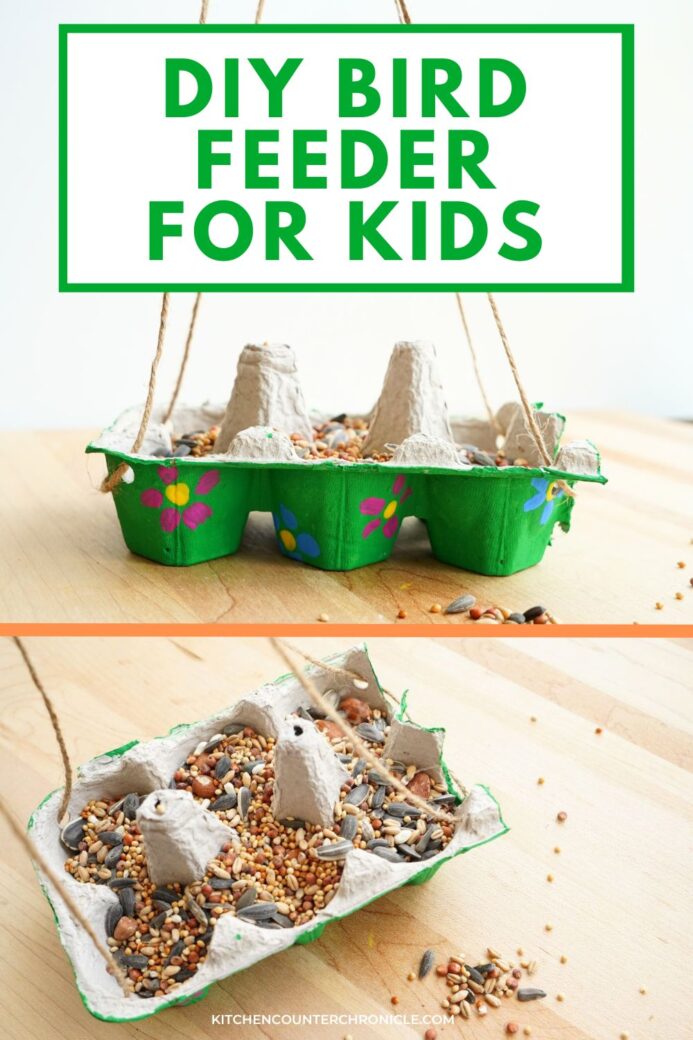 title diy egg carton bird feeder for kids new pin