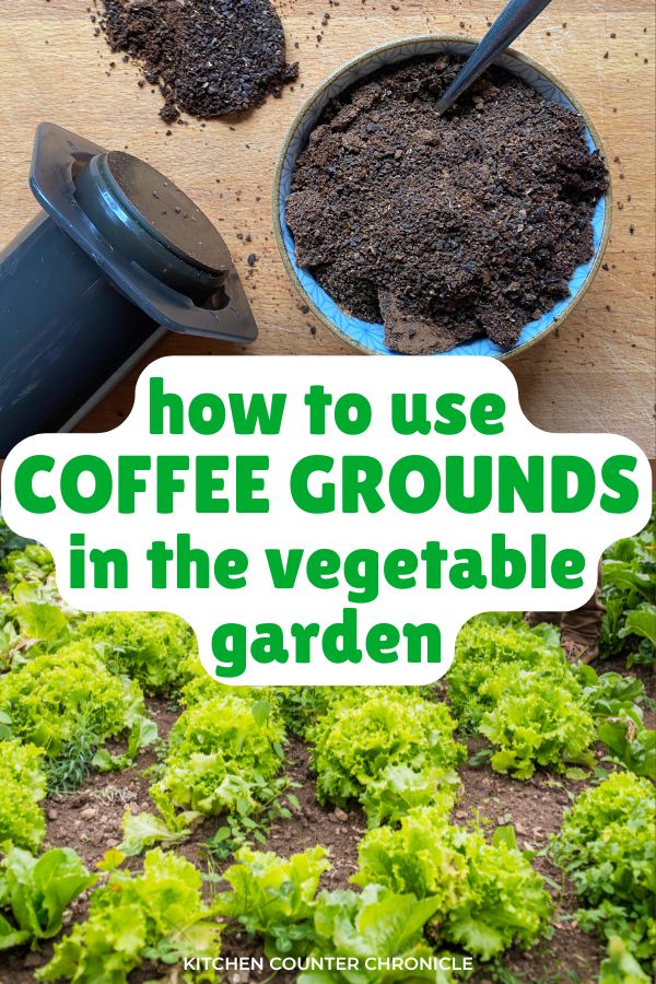 bowl filled with coffee grounds and a vegetable garden with title how to use coffee grounds in a vegetable garden