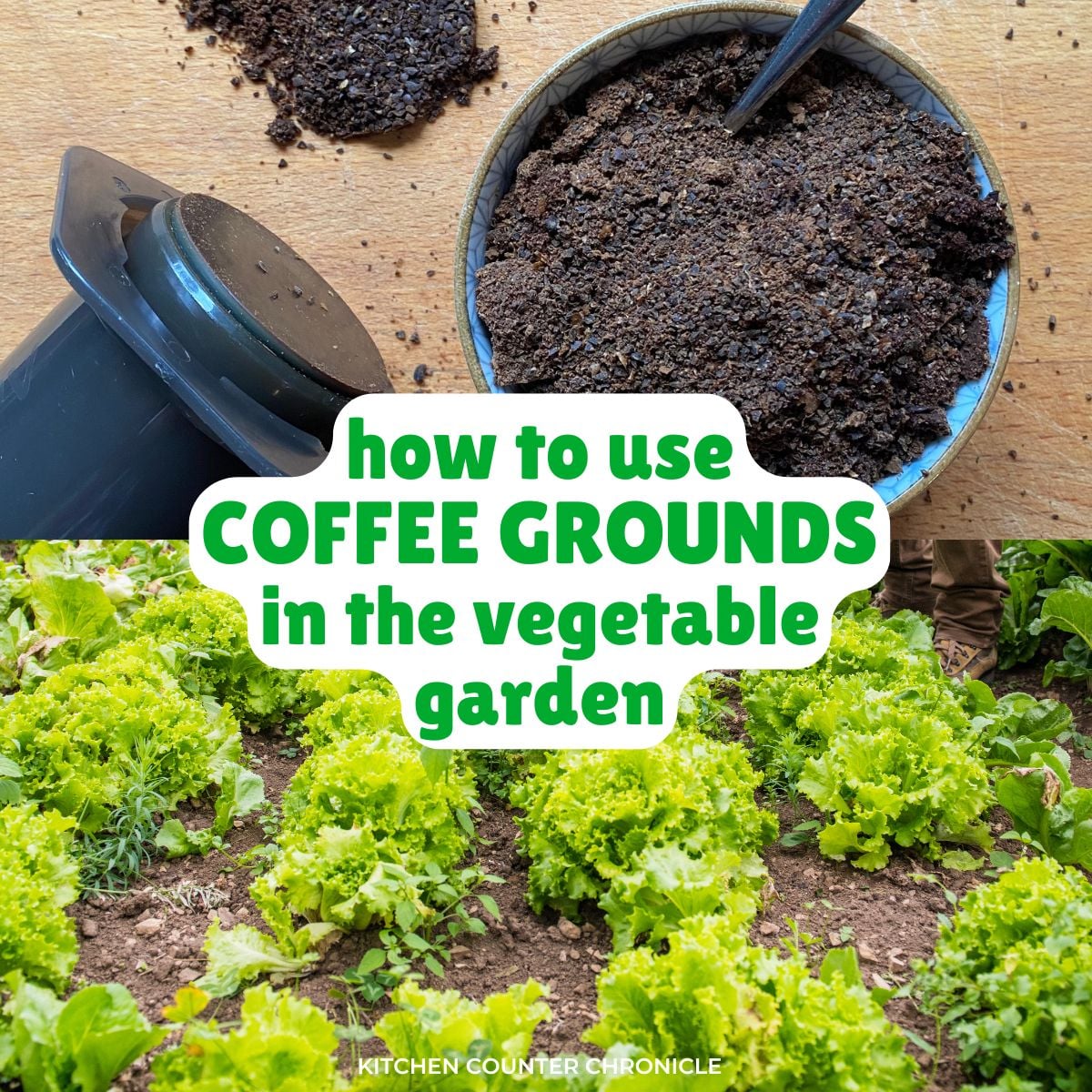 how to used coffee grounds in a vegetable garden