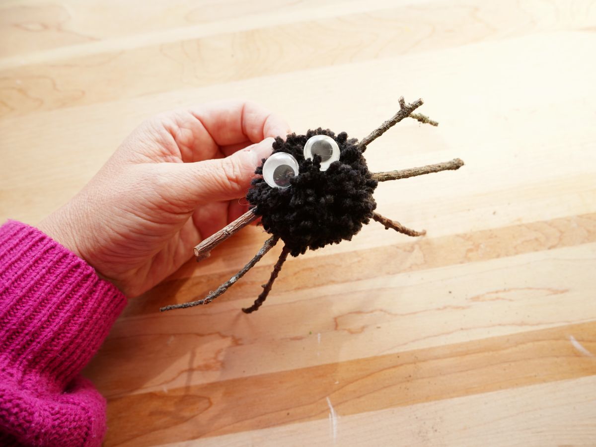 close up of pom pom spider with twig legs and googly eyes