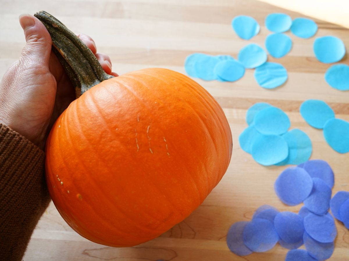 small pumpkin in woman's hand on table with blue tissue paper dots piled up