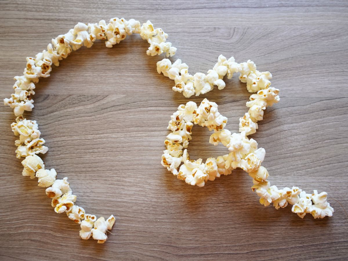 image of full popcorn garland for birds