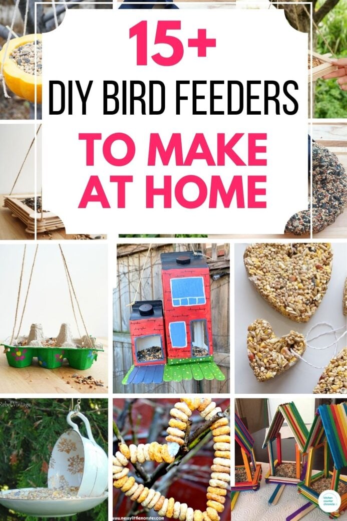 DIY Bird feeders to make at home collage of bird feeders