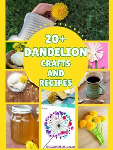 featured image for dandelion craft and recipe round up post