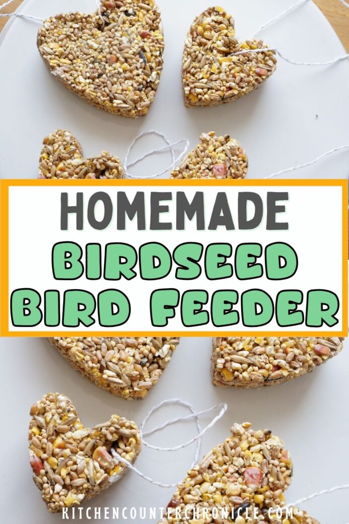 homemade birdseed bird feeder collage of birdseed ornaments new pin