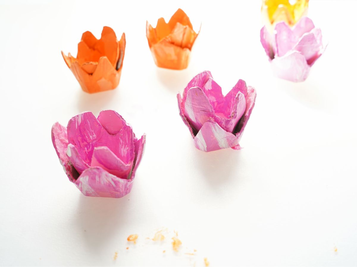 close up of egg carton tulips pink and orange