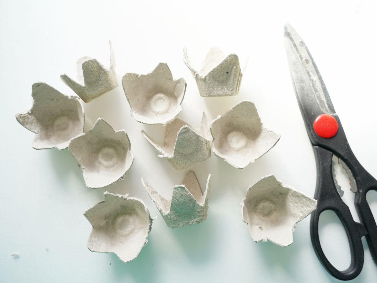 egg carton cut into sections and cut into flower shape with pair of scissors