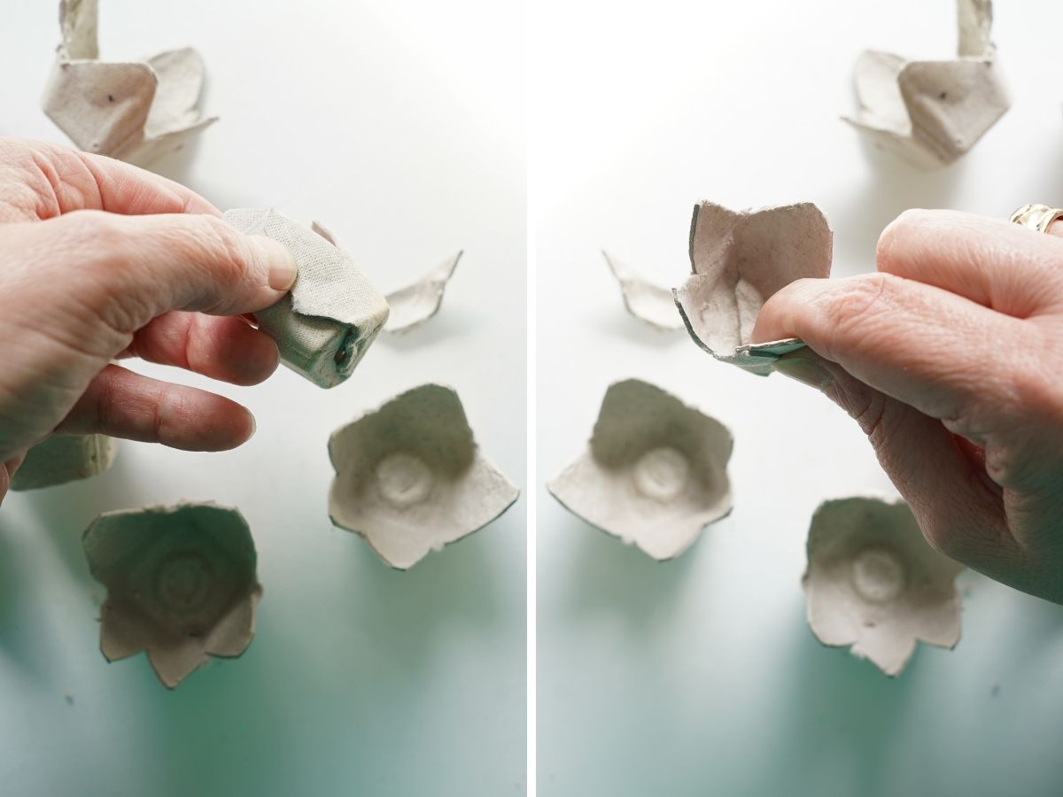 hand holding egg carton tulip being folded and held in place