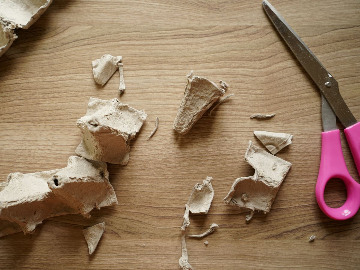 overhead shot or egg carton cut into pieces for ice cream cone
