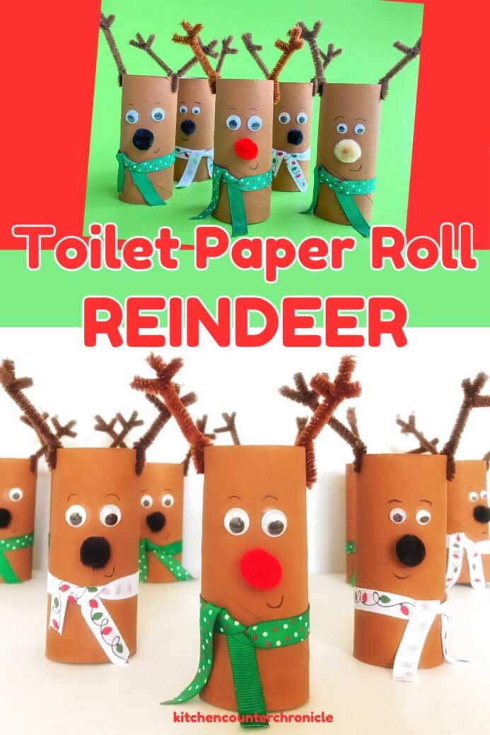 new pin for toilet paper roll reindeer with group of reindeer made from toilet rolls