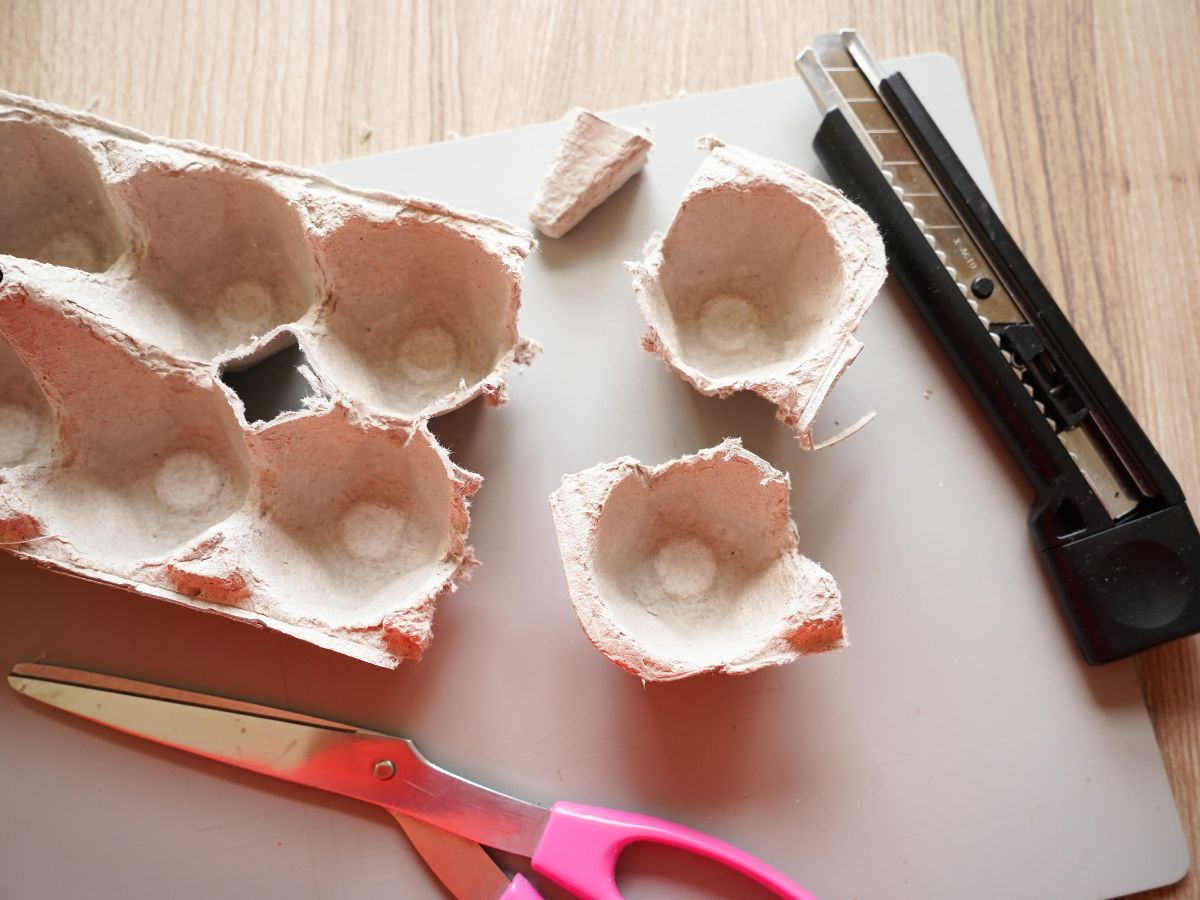 supplies for making egg carton roses, scissors, craft knife