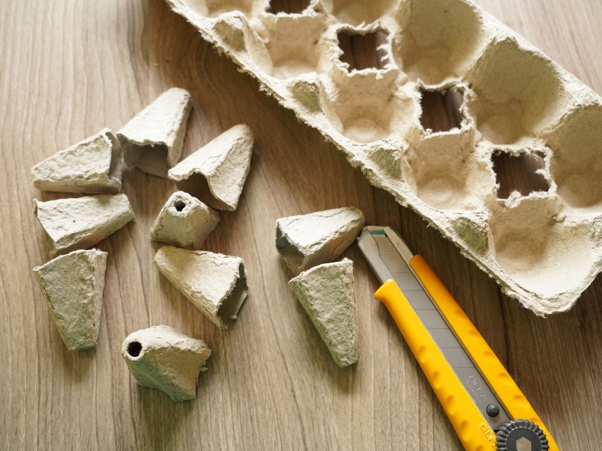 cardboard egg carton with utility knife and divider pieces cut to make carrot bottoms