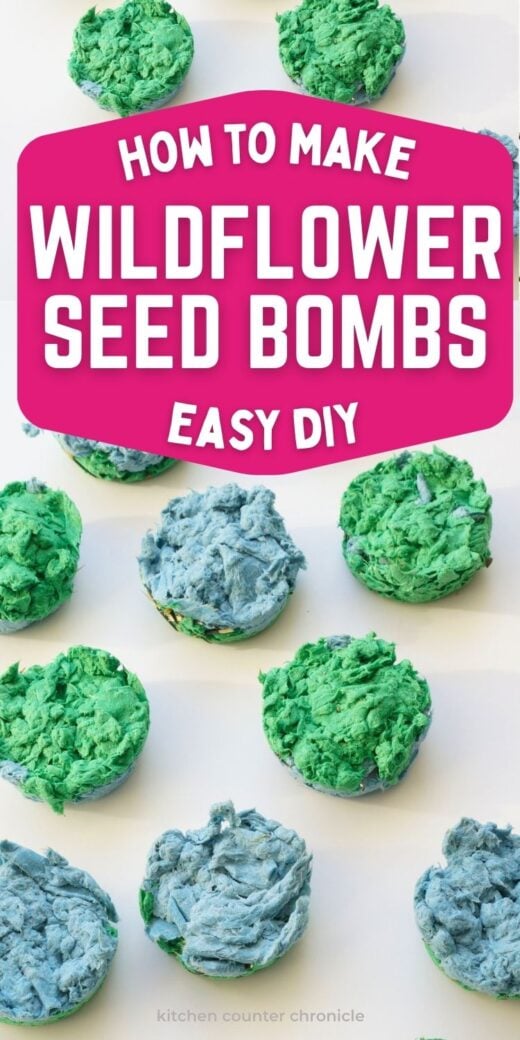 how to make wildflower seed bombs easy diy new pin image