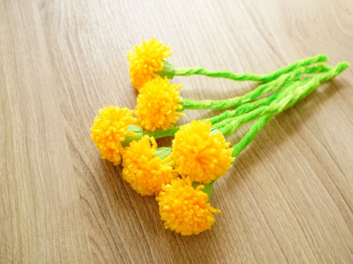 bouquet of dandelion pom poms on table