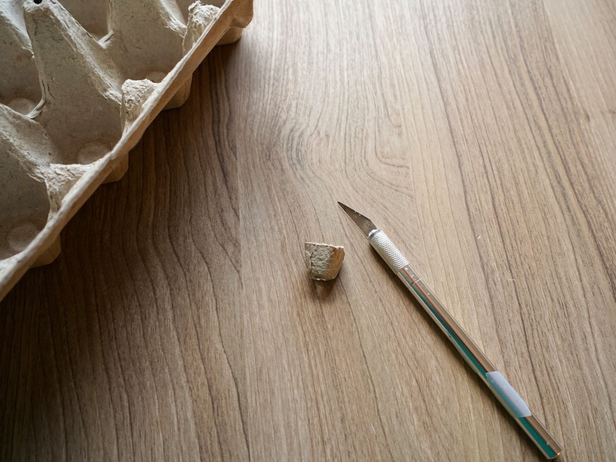 utility knife beside piece of egg carton