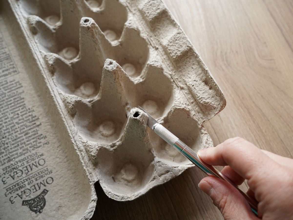 utility knife cutting into egg carton